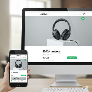 Basic Business Website (Annual Package)